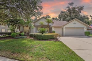 306 Red Elm Pl, SEFFNER