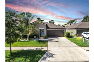 12817 Wildflower Meadow Dr, RIVERVIEW