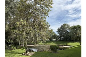 35219 JANINE DRIVE, ZEPHYRHILLS, FL 33541 - MLS#MFRTB8406562