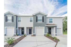 1998 Hovenweep Rd, WESLEY CHAPEL