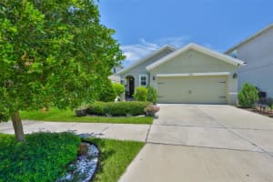 10214 Mangrove Well Rd, SUN CITY CENTER