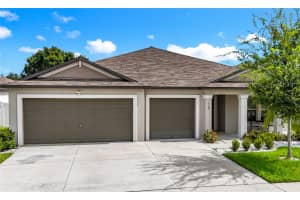 138 RAIN BERRY AVENUE, RUSKIN, FL 33570 - MLS#MFRTB8406633