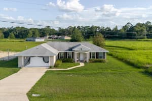 313 LOCUST PASS, OCALA, FL 34472 - MLS#MFRTB8406649