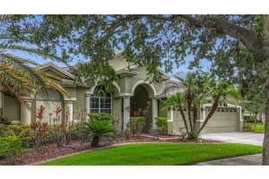 20626 Longleaf Pine Ave, TAMPA