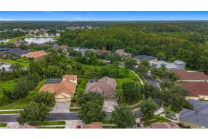 20626 LONGLEAF PINE AVENUE, TAMPA, FL 33647 - MLS#MFRTB8406658