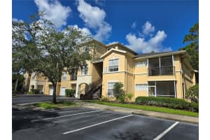 5125 PALM SPRINGS BOULEVARD, TAMPA, FL 33647 - MLS#MFRTB8406702