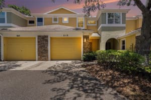 8118 Stone Path Way, TAMPA