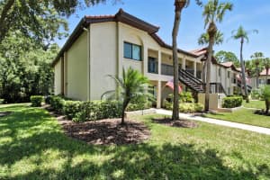 1801 LAKE ROAD, PALM HARBOR, FL 34685 - MLS#MFRTB8406727