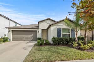 11210 Sage Canyon Dr, RIVERVIEW