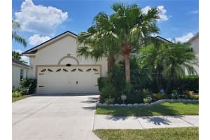 11052 ANCIENT FUTURES DRIVE, TAMPA, FL 33647 - MLS#MFRTB8406781