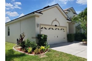 11052 ANCIENT FUTURES DRIVE, TAMPA, FL 33647 - MLS#MFRTB8406781