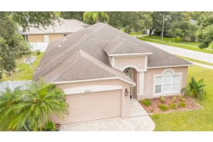22615 LAURELDALE DRIVE, LUTZ, FL 33549 - MLS#MFRTB8406816