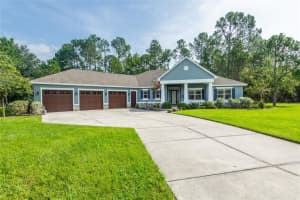 27500 Elkwood Cir, WESLEY CHAPEL
