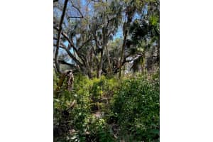 7022 RIVERSIDE DRIVE, PUNTA GORDA, FL 33982 - MLS#MFRTB8406829