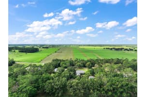 16231 80TH STREET, MORRISTON, FL 32668 - MLS#MFRTB8406836