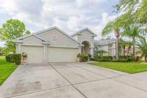 18111 Diamond Cove Ct, TAMPA