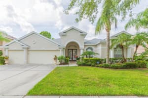 18111 DIAMOND COVE COURT, TAMPA, FL 33647 - MLS#MFRTB8406838