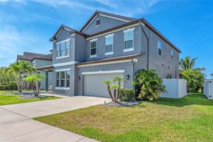 11831 CROSS VINE DRIVE, RIVERVIEW, FL 33579 - MLS#MFRTB8406862