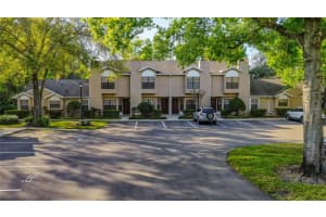 5100 BURCHETTE ROAD, TAMPA, FL 33647 - MLS#MFRTB8406872