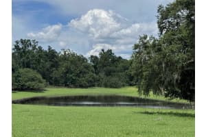 20716 RAMER ROAD, DADE CITY, FL 33523 - MLS#MFRTB8406885