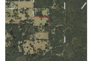 20716 RAMER ROAD, DADE CITY, FL 33523 - MLS#MFRTB8406885
