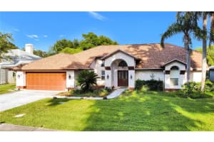 4535 Bardsdale Dr, PALM HARBOR
