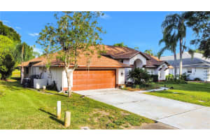 4535 BARDSDALE DRIVE, PALM HARBOR, FL 34685 - MLS#MFRTB8406907