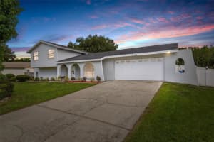 16521 Silverhill Dr, TAMPA