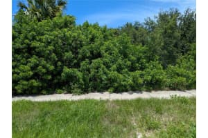 6041 COUNTY LINE ROAD, SPRING HILL, FL 34606 - MLS#MFRTB8406951