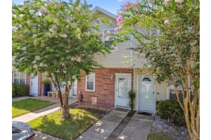 7508 Hollowell Dr, TAMPA