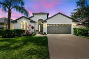 11538 Cypress Reserve Dr, TAMPA