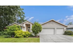 3125 Edgemoor Dr, PALM HARBOR