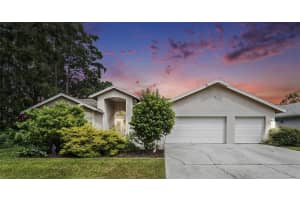3125 EDGEMOOR DRIVE, PALM HARBOR, FL 34685 - MLS#MFRTB8407051