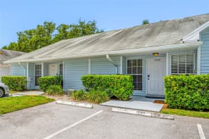 16112 RAMBLING VINE DR E, TAMPA, FL 33624 - MLS#MFRTB8407066
