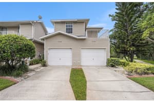 22100 Little Lagoon Ct, LUTZ