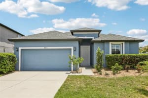19932 Hidden Glen Dr, LAND O LAKES