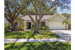 9710 Cypress Pond Ave, TAMPA