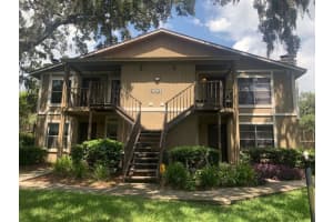 14312 Hanging Moss Cir #101, TAMPA