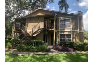 14312 HANGING MOSS CIRCLE, TAMPA, FL 33613 - MLS#MFRTB8407157