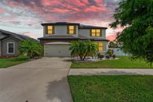 11924 Winterset Cove Dr, RIVERVIEW
