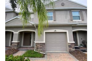 3949 CLAYBROOK DRIVE, WESLEY CHAPEL, FL 33544 - MLS#MFRTB8407170