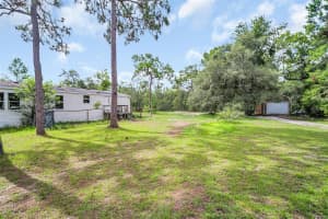 17625 NELSON ROAD, SPRING HILL, FL 34610 - MLS#MFRTB8407175