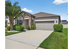 13905 PAINTED BUNTING LANE, RIVERVIEW, FL 33579 - MLS#MFRTB8407183