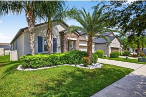 13905 PAINTED BUNTING LANE, RIVERVIEW, FL 33579 - MLS#MFRTB8407183