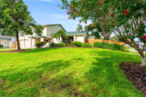 16228 FANTASIA DRIVE, TAMPA, FL 33624 - MLS#MFRTB8407201