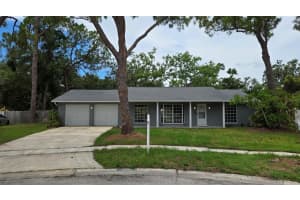 8328 W Pocahontas Ave, TAMPA