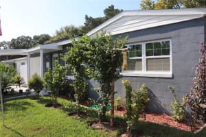 6041 DUBLIN DRIVE, NEW PORT RICHEY, FL 34653 - MLS#MFRTB8407227