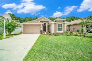 333 Tavernier Dr, OLDSMAR