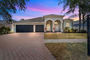 4809 WALNUT RIDGE ROAD, LAND O LAKES, FL 34638 - MLS#MFRTB8407233
