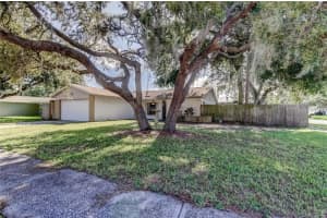 14701 Cactus Wren Pl, TAMPA